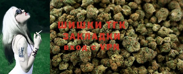 тгк Абинск