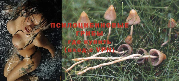 MESCALINE Абаза