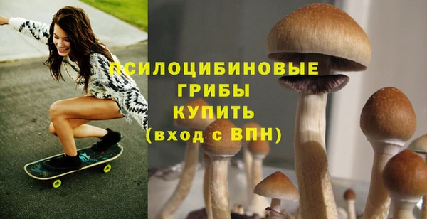 тгк Абинск